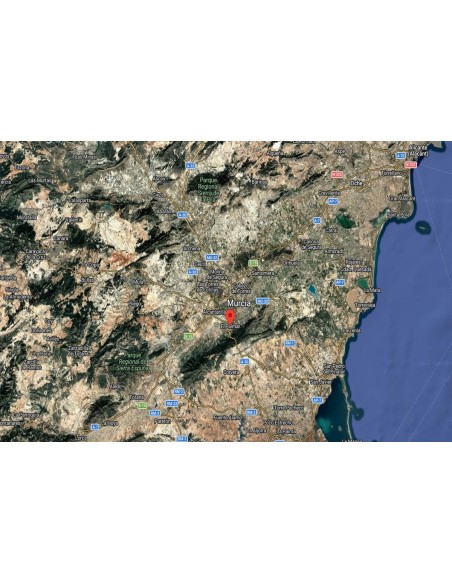 fen-13061-murcia-murcia