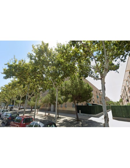 fen-17693-cataluna-barcelona
