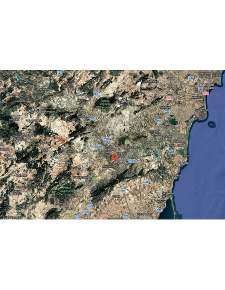 fen-17715-murcia-murcia