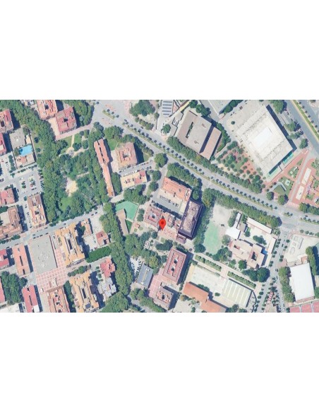fen-17557-murcia-murcia