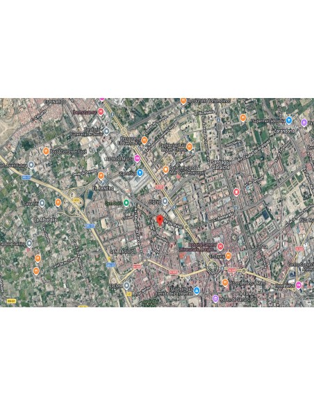 fen-17557-murcia-murcia