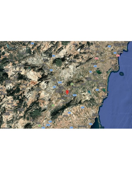 fen-17557-murcia-murcia