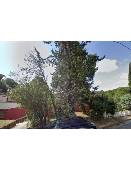 fen-18837-comunidad-de-madrid-madrid