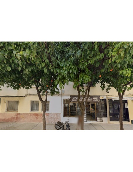fen-17573-andalucia-cadiz