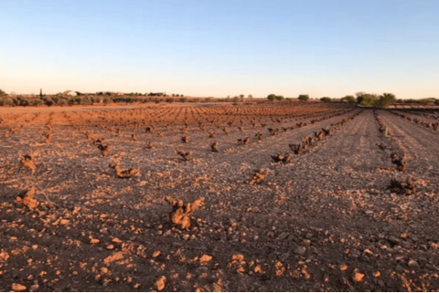 Subida de la Esperilla de Quero, Campo de Criptana