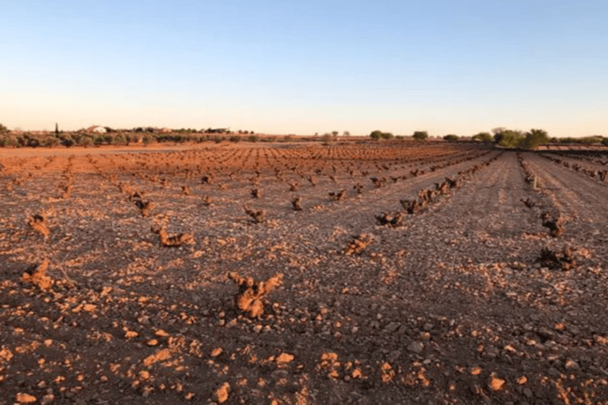 Subida de la Esperilla de Quero, Campo de Criptana