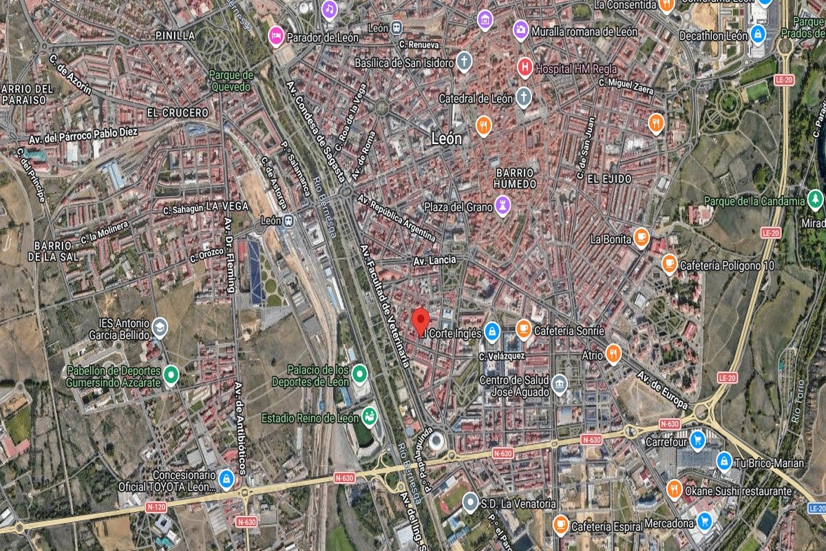 fen-17565-castilla-leon-leon