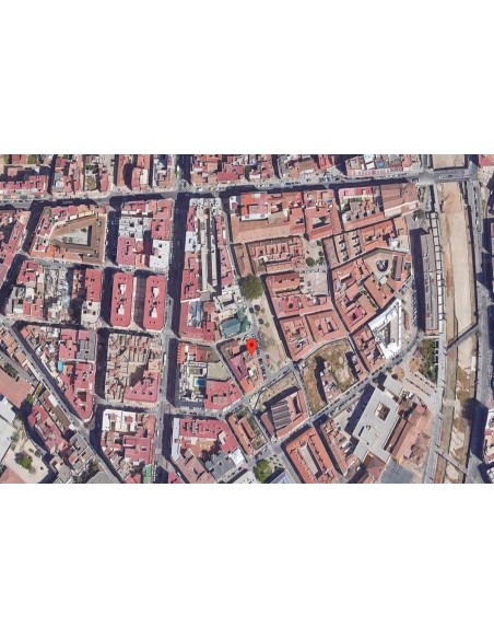 fen-19545-andalucia-malaga