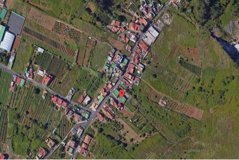 fen-20195-canarias-santa-cruz-de-tenerife 2