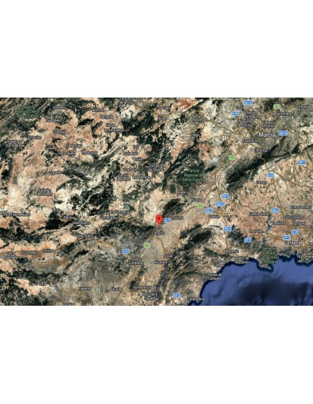 fen-23710-murcia-murcia