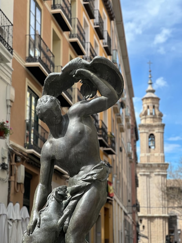 NPL Zaragoza